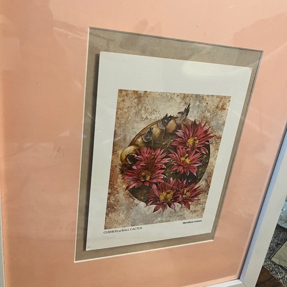 Framed Art Print Cushion Or Cactus Ball with Pink and White 18” x 22” - Picture 4 of 4